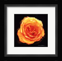 Vibrant Flower II Fine Art Print