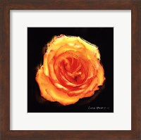 Vibrant Flower II Fine Art Print