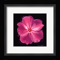 Vibrant Flower III Framed Print