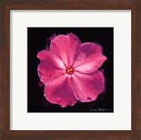 Vibrant Flower III Fine Art Print