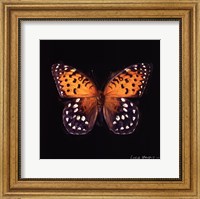 Techno Butterfly IV Fine Art Print