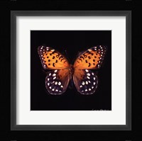 Techno Butterfly IV Framed Print