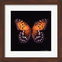 Techno Butterfly IV Fine Art Print