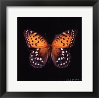 Techno Butterfly IV Framed Print