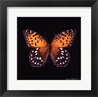 Techno Butterfly IV Fine Art Print
