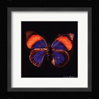 Techno Butterfly III Framed Print
