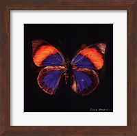 Techno Butterfly III Fine Art Print