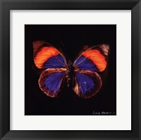 Techno Butterfly III Fine Art Print