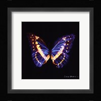 Techno Butterfly II Framed Print