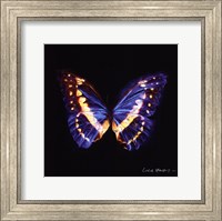 Techno Butterfly II Fine Art Print