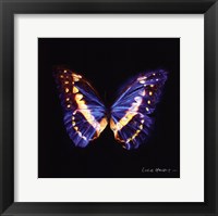 Techno Butterfly II Framed Print