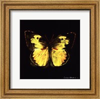 Techno Butterfly I Fine Art Print