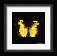 Techno Butterfly I Framed Print
