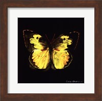 Techno Butterfly I Fine Art Print