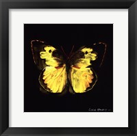 Techno Butterfly I Framed Print