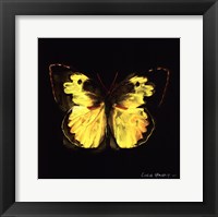 Techno Butterfly I Fine Art Print