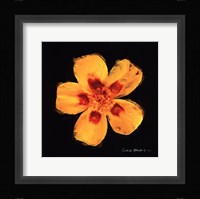 Vibrant Flower X Framed Print