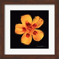 Vibrant Flower X Fine Art Print