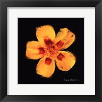 Vibrant Flower X Framed Print