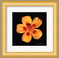 Vibrant Flower X Fine Art Print