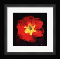 Vibrant Flower IX Fine Art Print