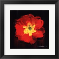 Vibrant Flower IX Fine Art Print