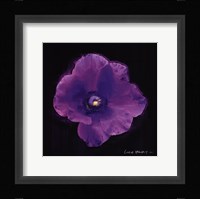 Vibrant Flower VIII Fine Art Print
