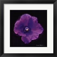 Vibrant Flower VIII Fine Art Print