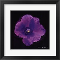 Vibrant Flower VIII Fine Art Print