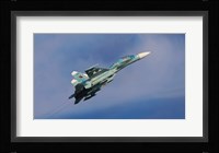 Su-27UBM Radom 2009 Fine Art Print
