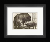 Adhela and Guy Fawkes 1873 Fine Art Print