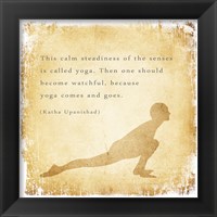 Calm Steadiness of the Senses Framed Print