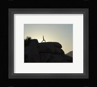 Joshua Tree - Yoga Warrior Fine Art Print