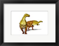 Nanyangosaurus Fine Art Print