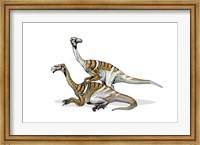 Nanshiungosaurus Fine Art Print