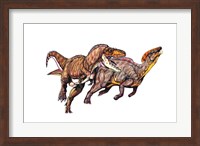 Gorgosaurus Fine Art Print