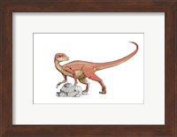 Abrictosaurus Fine Art Print