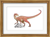 Abrictosaurus Fine Art Print