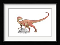 Abrictosaurus Framed Print
