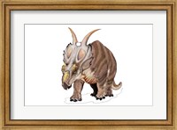 Achelousaurus Fine Art Print