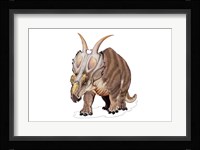 Achelousaurus Framed Print