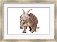 Achelousaurus Fine Art Print