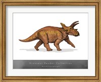 Anchiceratops Fine Art Print