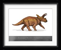 Anchiceratops Framed Print