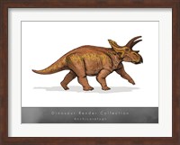 Anchiceratops Fine Art Print