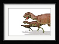 Aucasaurus Framed Print