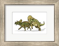 Avaceratops Fine Art Print
