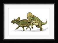 Avaceratops Framed Print