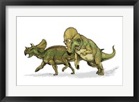 Avaceratops Fine Art Print