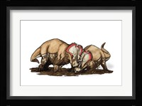 Centrosaurus Framed Print